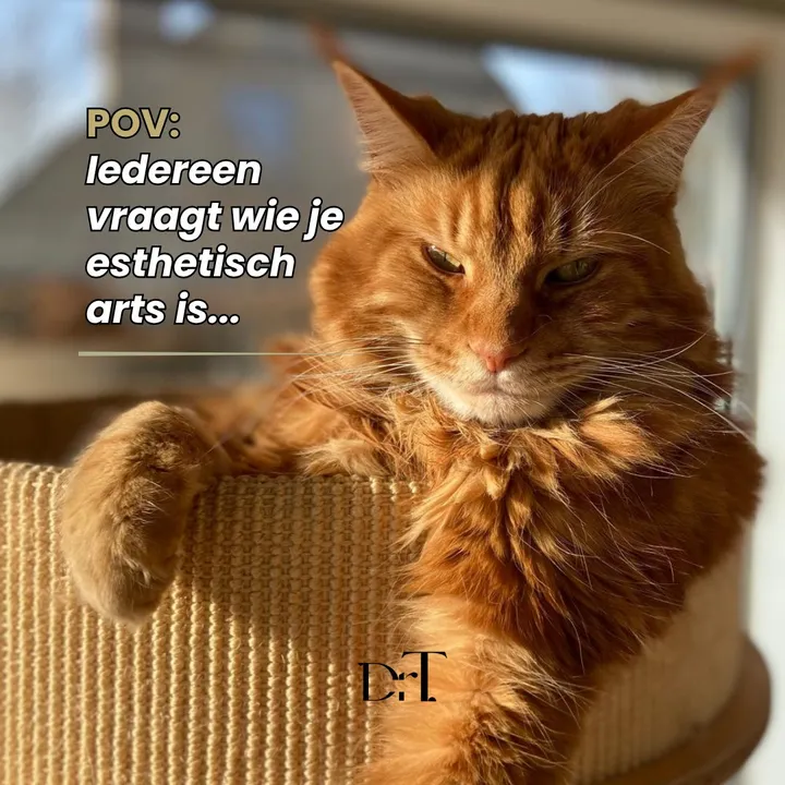 Instagram-post van Dr T. (16 oktober 2026)