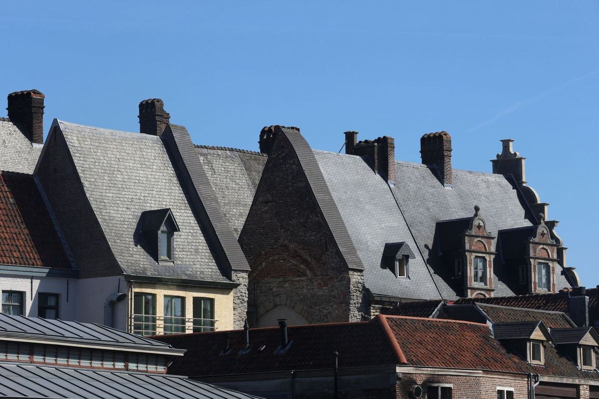 Slate roofs with dormers and chimneys in Ghent