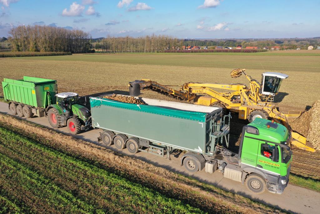 Foto van Hertigers Loon- en Grondwerken in Tongeren-Borgloon — Vereniging/organisatie (foto 1)