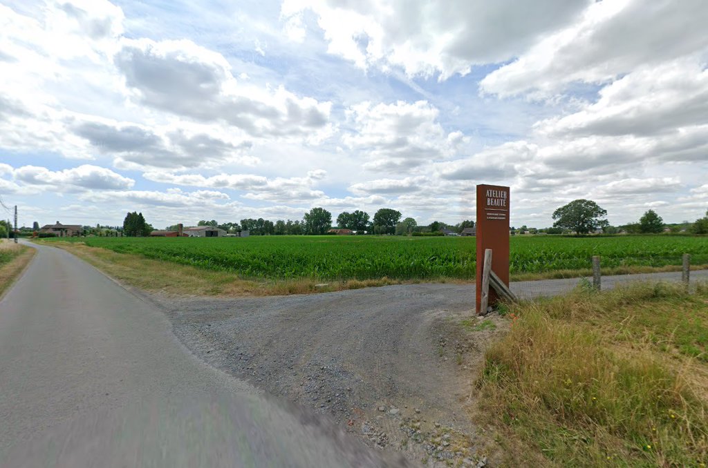 Foto van Fabuleux laserontharing in Zonnebeke — Ontharing met laser (foto 1)