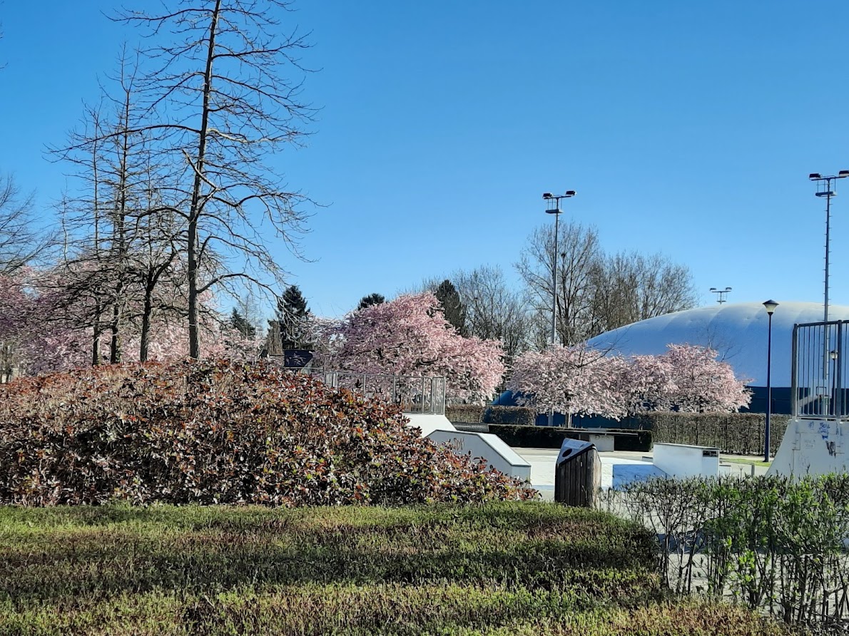 Foto van Kna-Kraainem gymclub in Kraainem — Sportclub (foto 2)