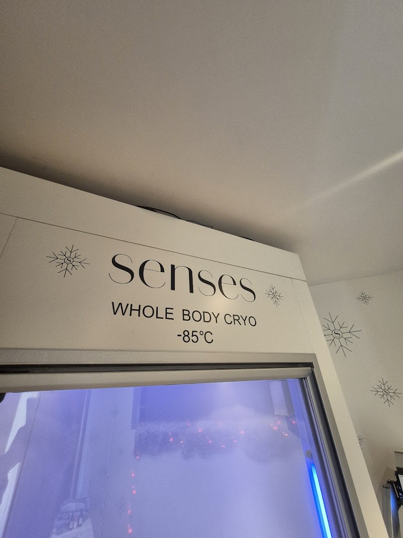 Foto van Senses Cryo in Opwijk — Sauna (foto 2)