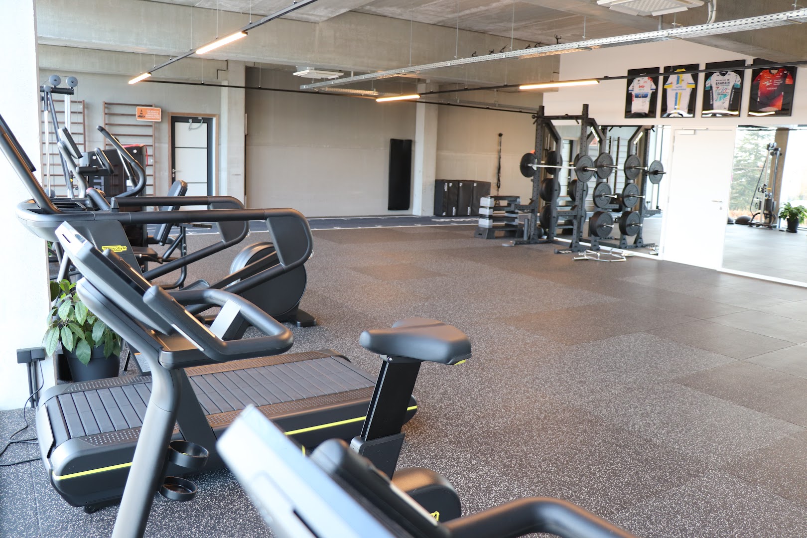 Foto van Spartha - Sport Medisch Centrum in Lendelede — Sportmedisch centrum (foto 1)