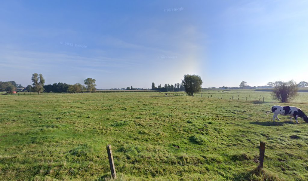 Foto van Dakwerken Pieter Logghe in Ichtegem, Dakwerker