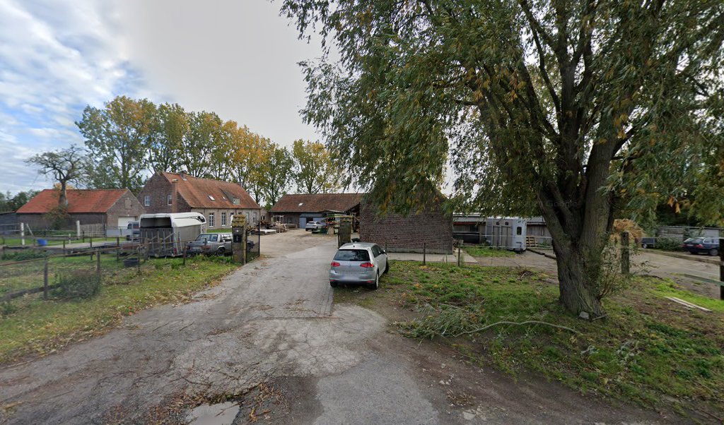 Foto van Devos-De Witte in Kruisem, Timmerbedrijf