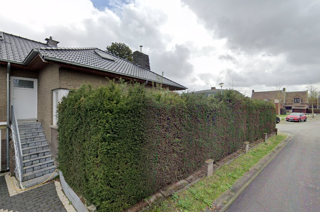 Foto van Goeman / Eddy in Lochristi, Dakwerken en renovatie