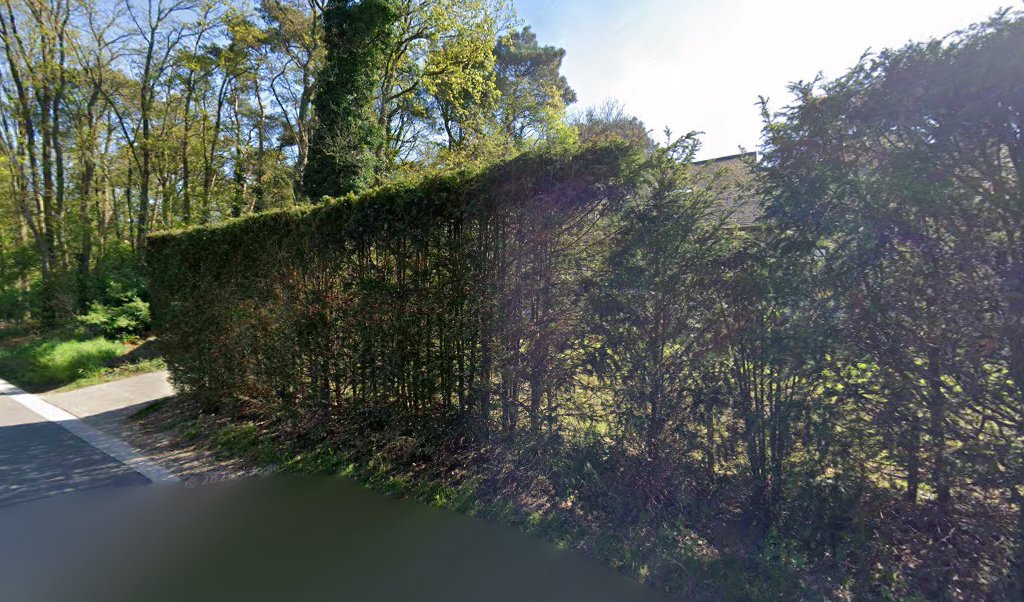 Foto van Dakwerken Bert Van Looy in Tremelo, Dakwerker