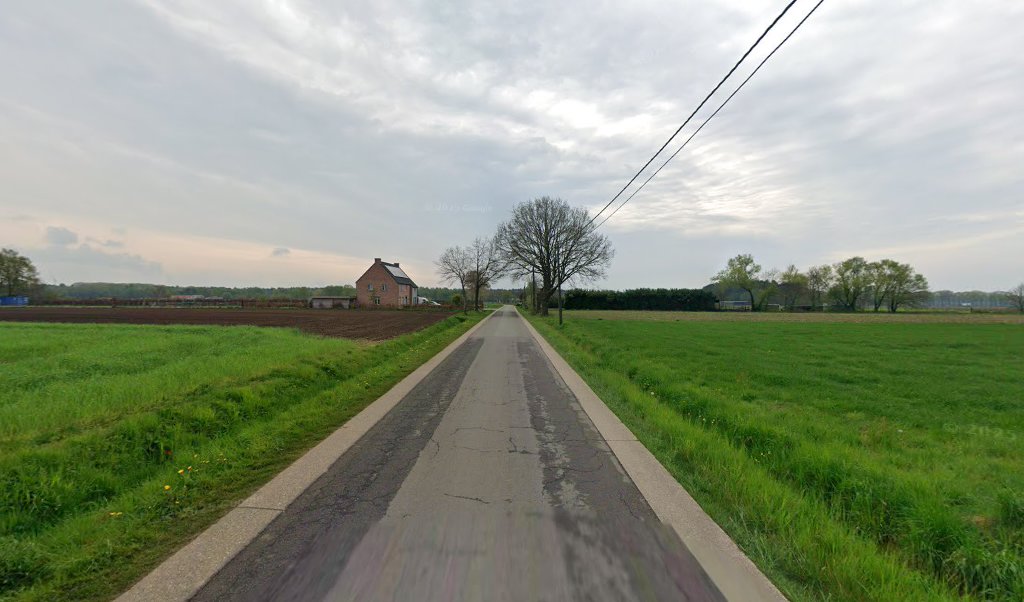 Foto van Dakwerken DND in Westerlo, Dakdekker