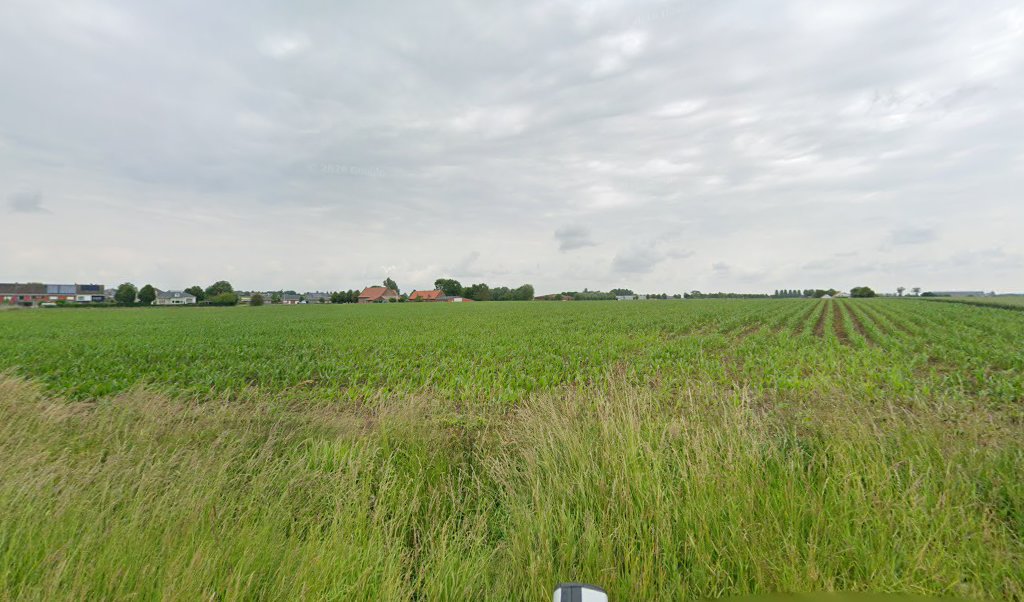 Foto van Deceuninck / Stefaan in Ieper, Dakdekker