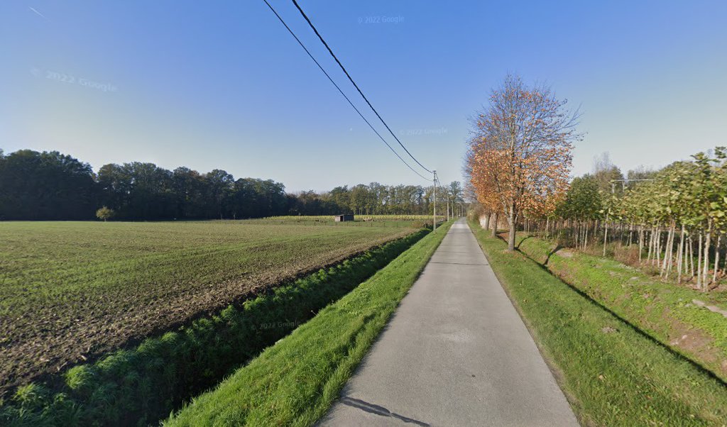Foto van VDM Dakwerken in Wichelen, Dakdekker