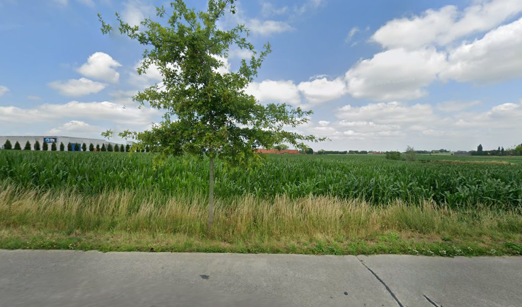Foto van Vandelannoote Zinkwerk-Sanitair cv in Moorslede, Dakwerker