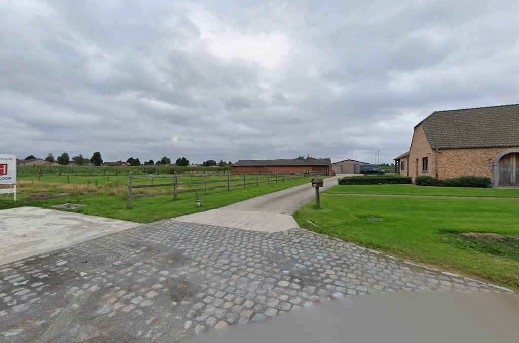 Foto van Kurt Berckvens bvba in Beerse, Dakwerker