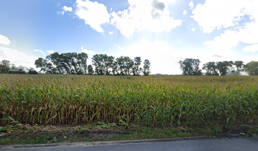 Foto van Bruwier / Birger in Tielt, Dakdekker