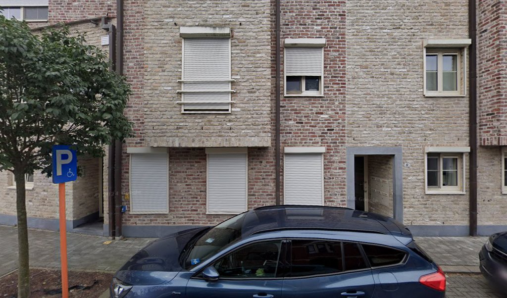 Foto van Dakwerken Van den Sanden in Puurs-Sint-Amands, Dakwerker