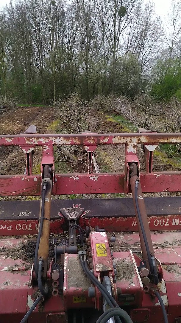 Foto van Steradak in Bilzen-Hoeselt — Dakdekker (foto 2)