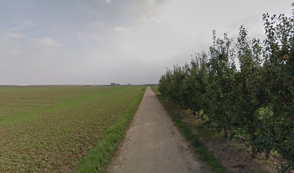 Foto van Vanloffelt Dakwerken bvba in Tongeren-Borgloon — Dakdekker Foto van Vanloffelt Dakwerken bvba in Tongeren-Borgloon — Dakdekker