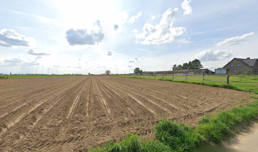 Foto van Dakwerken Moors M. in Bilzen-Hoeselt — Dakdekker Foto van Dakwerken Moors M. in Bilzen-Hoeselt — Dakdekker
