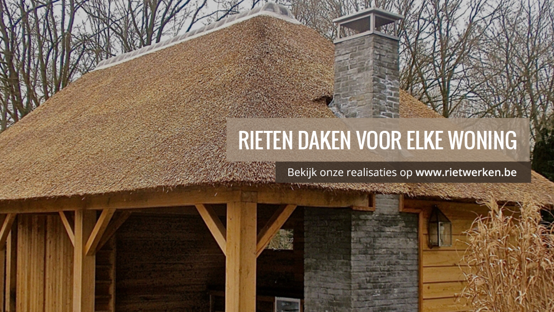 Foto van Rietdekkersbedrijf J Baltussen in Hechtel-Eksel — Dakdekker Foto van Rietdekkersbedrijf J Baltussen in Hechtel-Eksel — Dakdekker