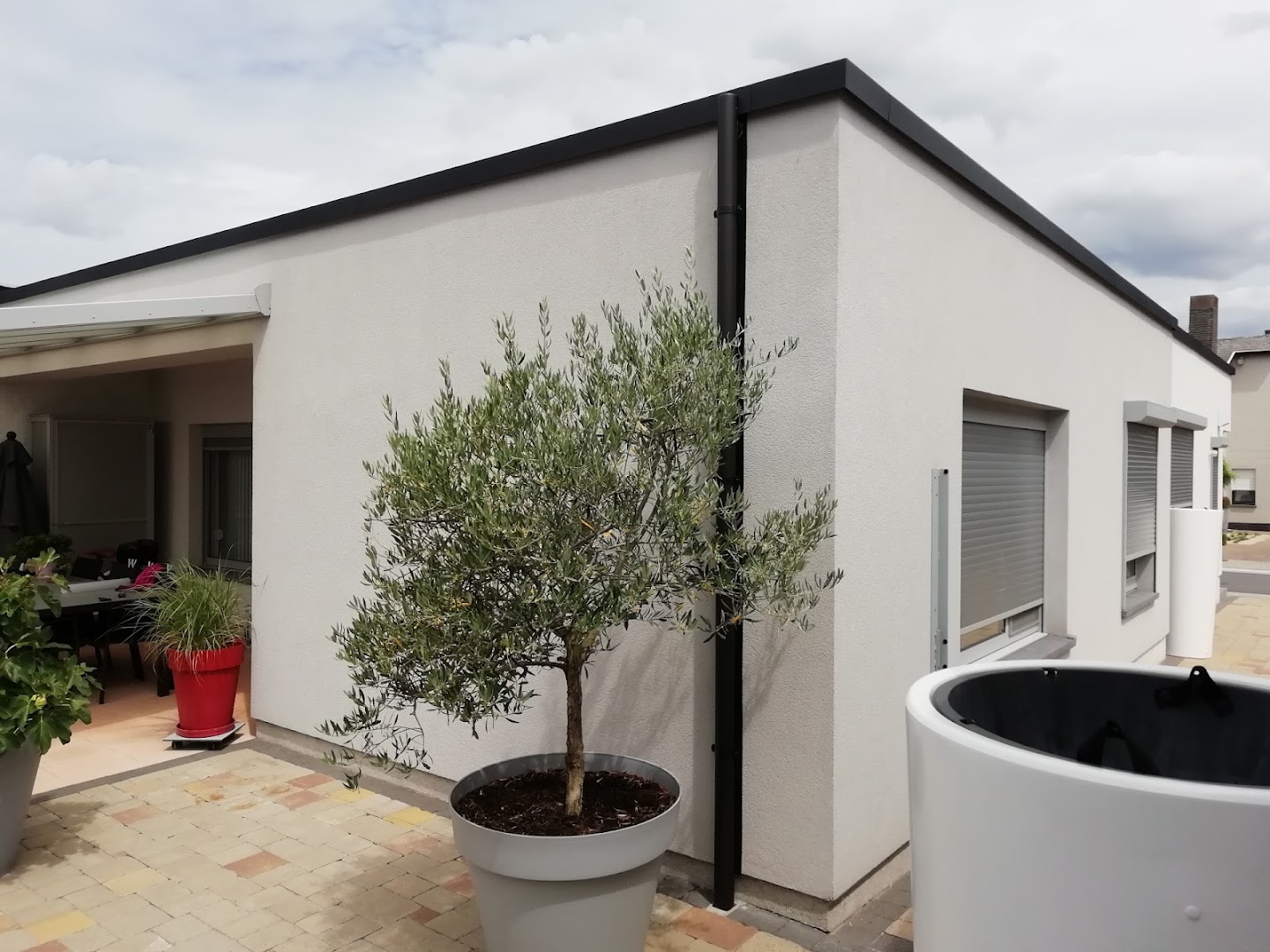 Foto van DWG Projects specialist platte daken in Ninove — Dakdekker (foto 3)