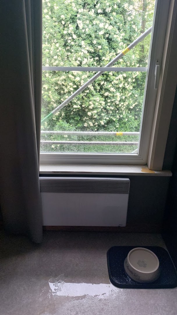 Foto van Gielen Service in Destelbergen — Dakdekker (foto 3)