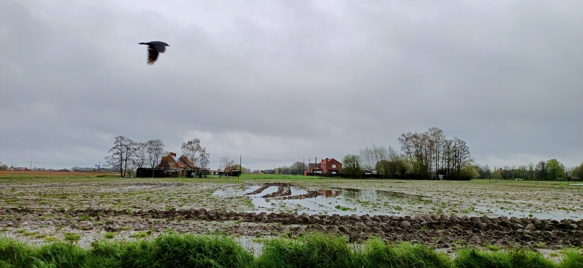 Foto van Dakwerken Desmet in Izegem — Dakdekker (foto 2)