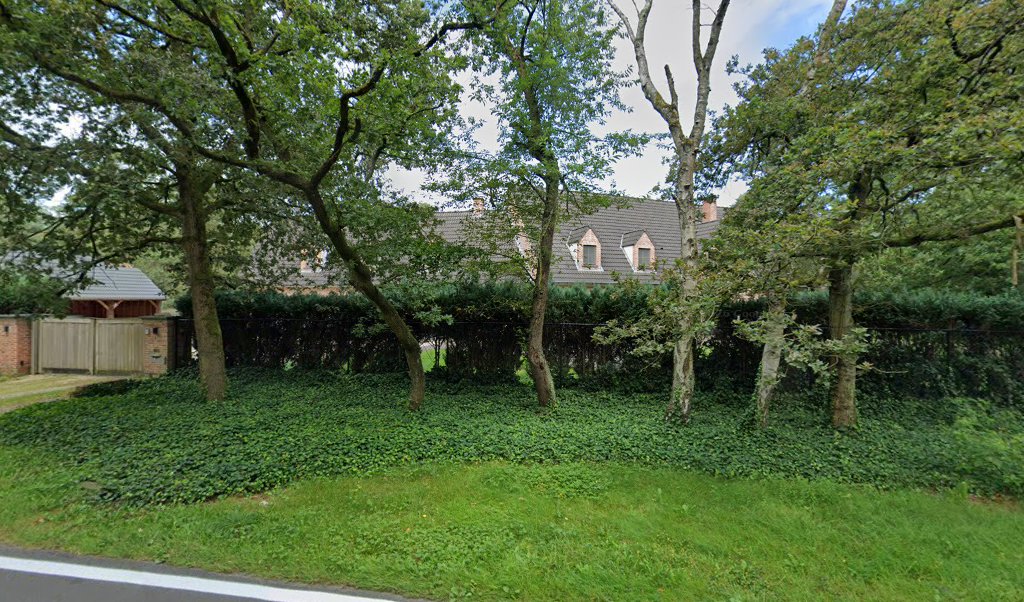 Foto van Dakwerken DW in Kapellen — Dakdekker Foto van Dakwerken DW in Kapellen — Dakdekker