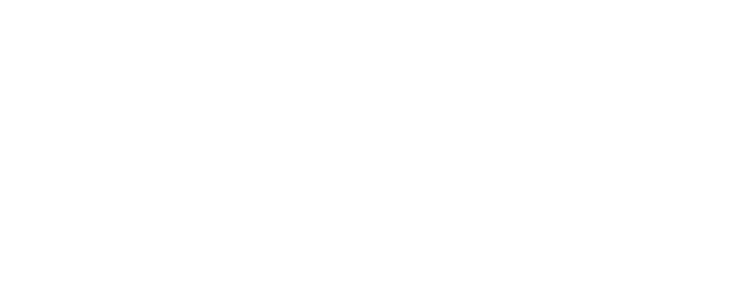 Varamedia Logo