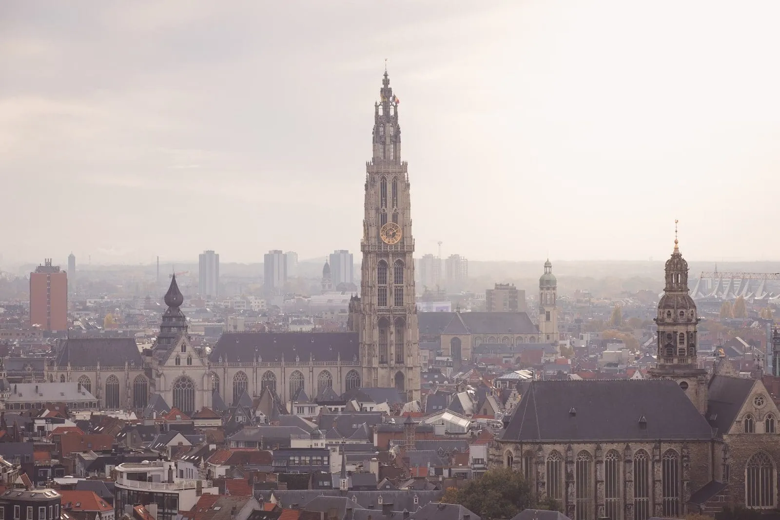 website laten maken Antwerpen