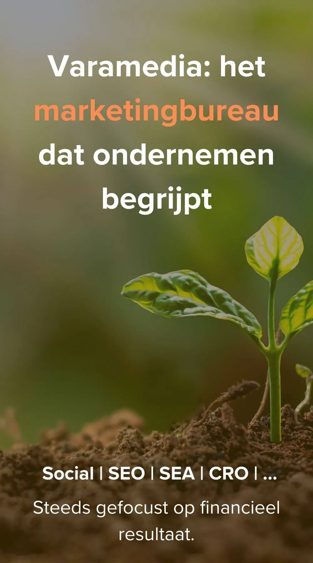 marketingbureau varamedia - financieel resultaat