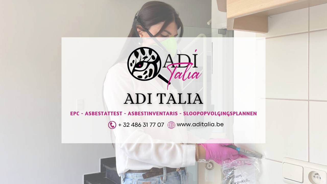 Foto van Adi Talia in Dendermonde — Asbestonderzoek (foto 1)