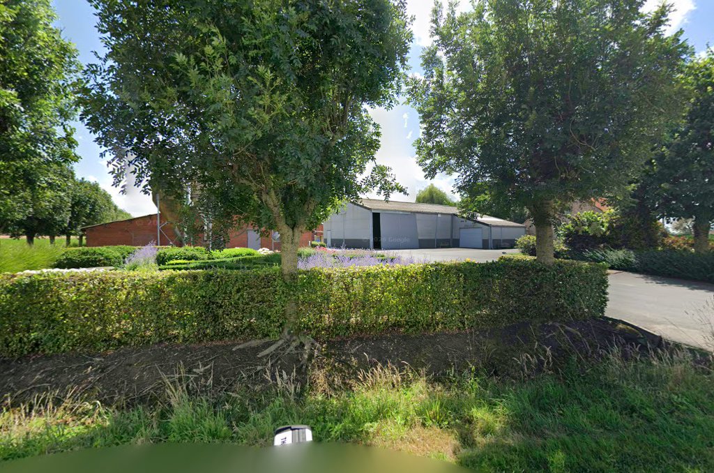 Foto van Asbestattest Reninge | Asbestinventarisatie | AD Keuring & Certificering — Certificeringsbureau (foto 1)