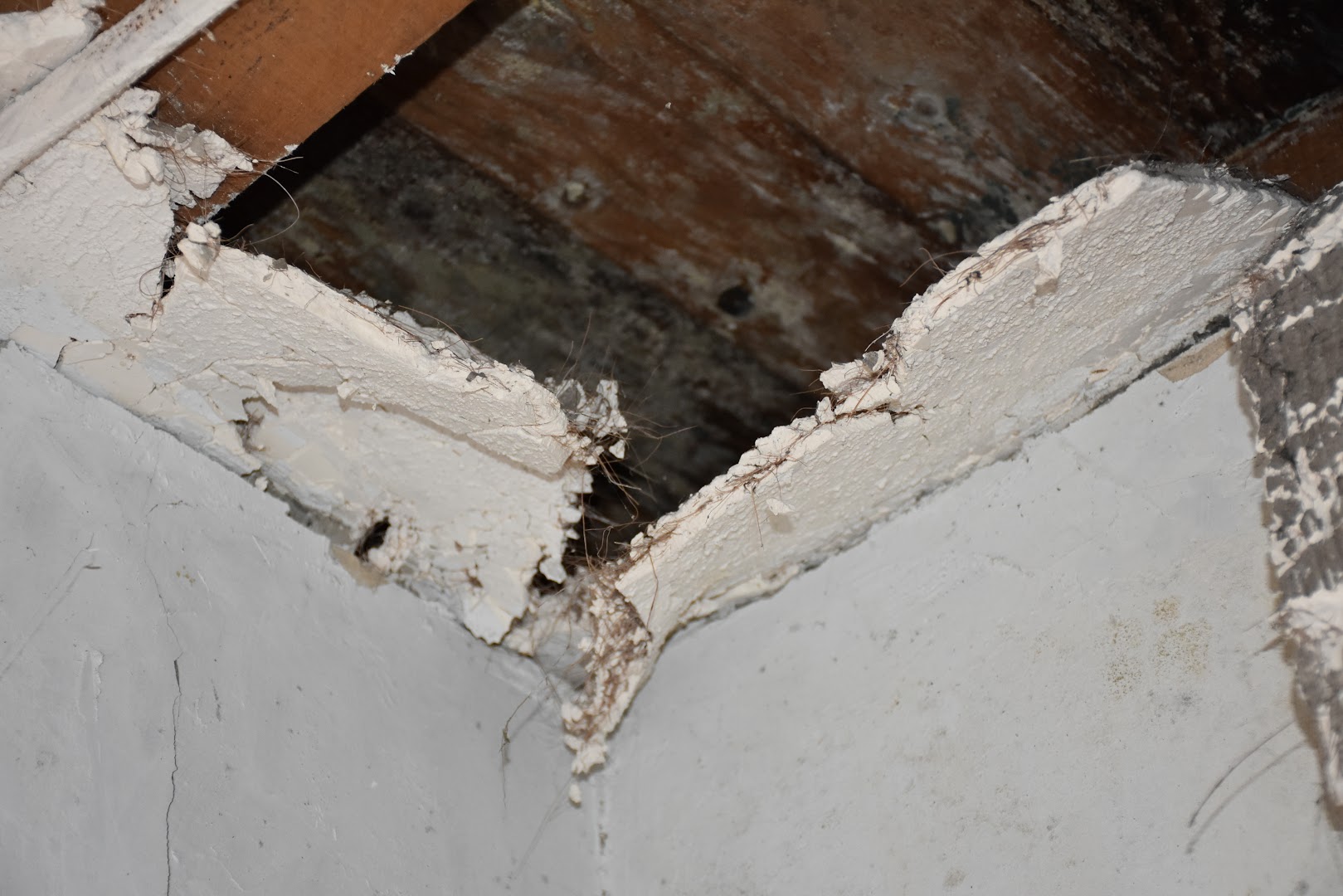 Foto van Attest CTRL in Sint-Martens-Latem — Bouwadviseur (foto 3)