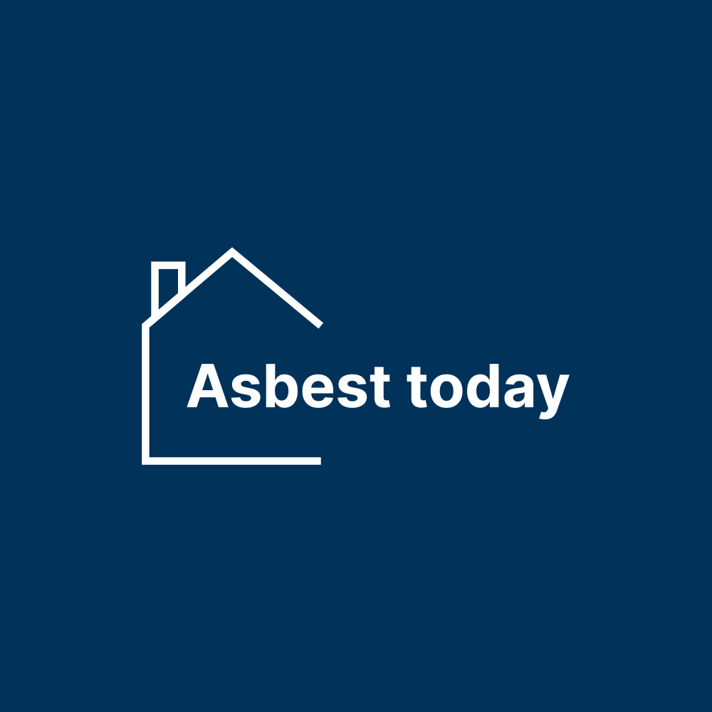 Foto van Asbest today in Antwerpen — Woninginspecteur (foto 3)