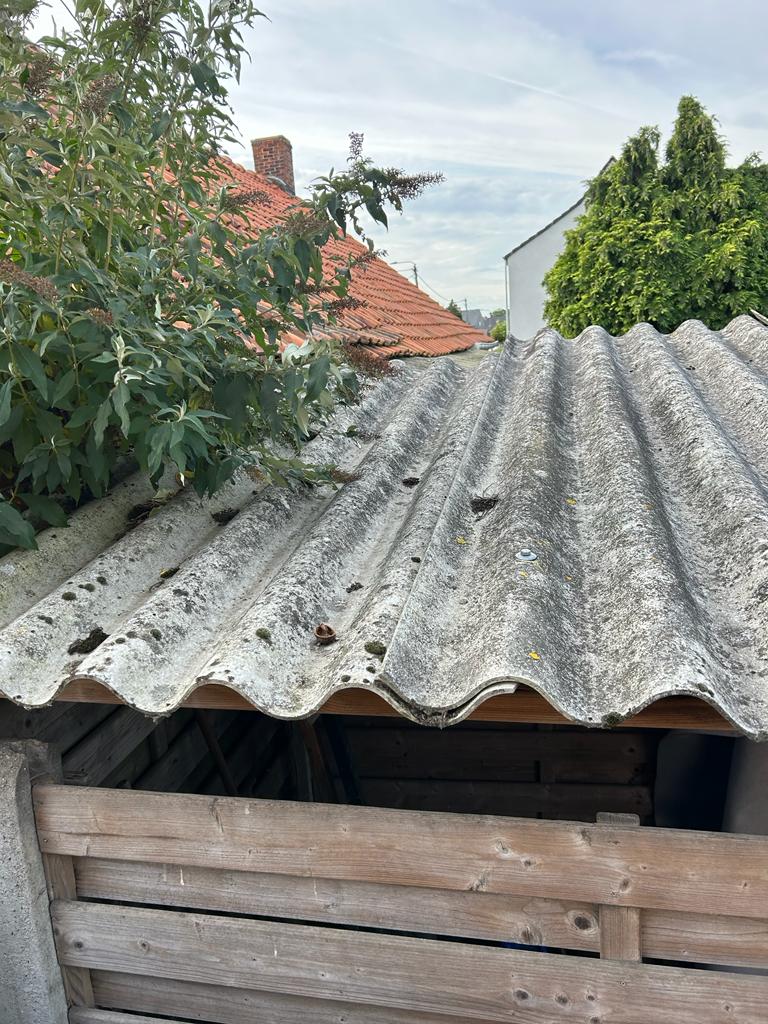 Foto van Jos Van Turnhout in Olen — Tuin (foto 1)