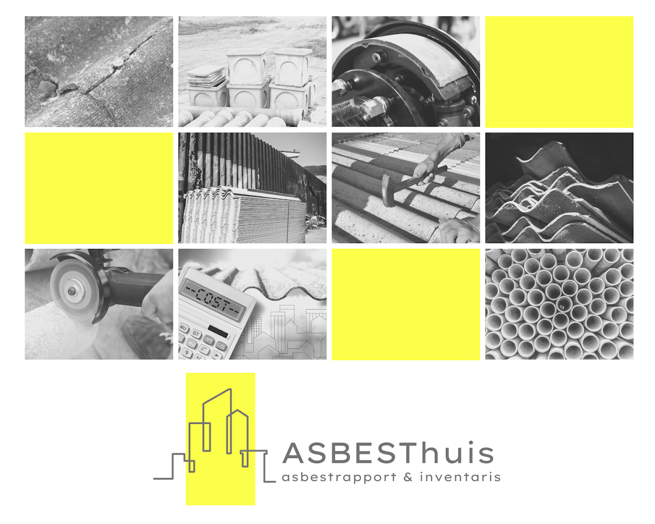 Foto van Asbesthuis in Erpe-Mere — Consultant (foto 2)