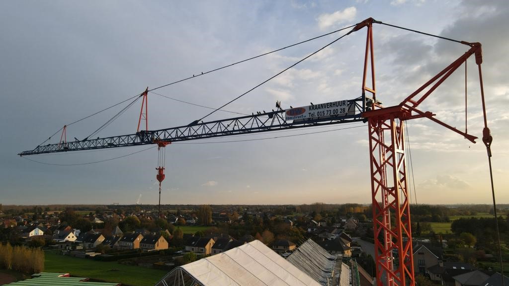 Foto van D.w. Construct in Schriek, Stellingbouwer (foto 3)