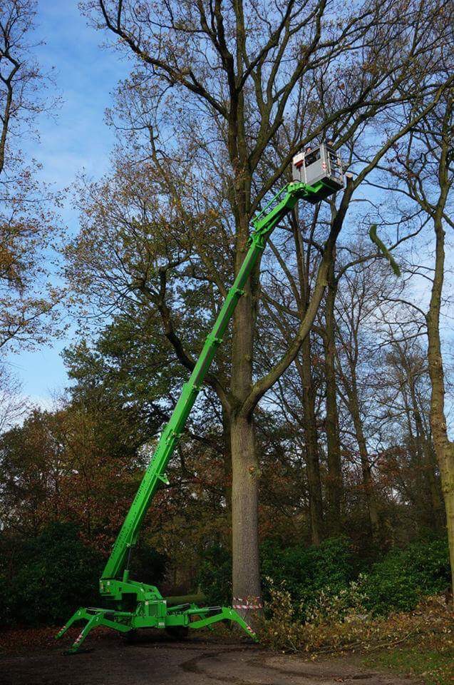 Foto van Lauwereys bv in Ranst, Hoogtewerkerverhuurder en boomverzorger (foto 2)