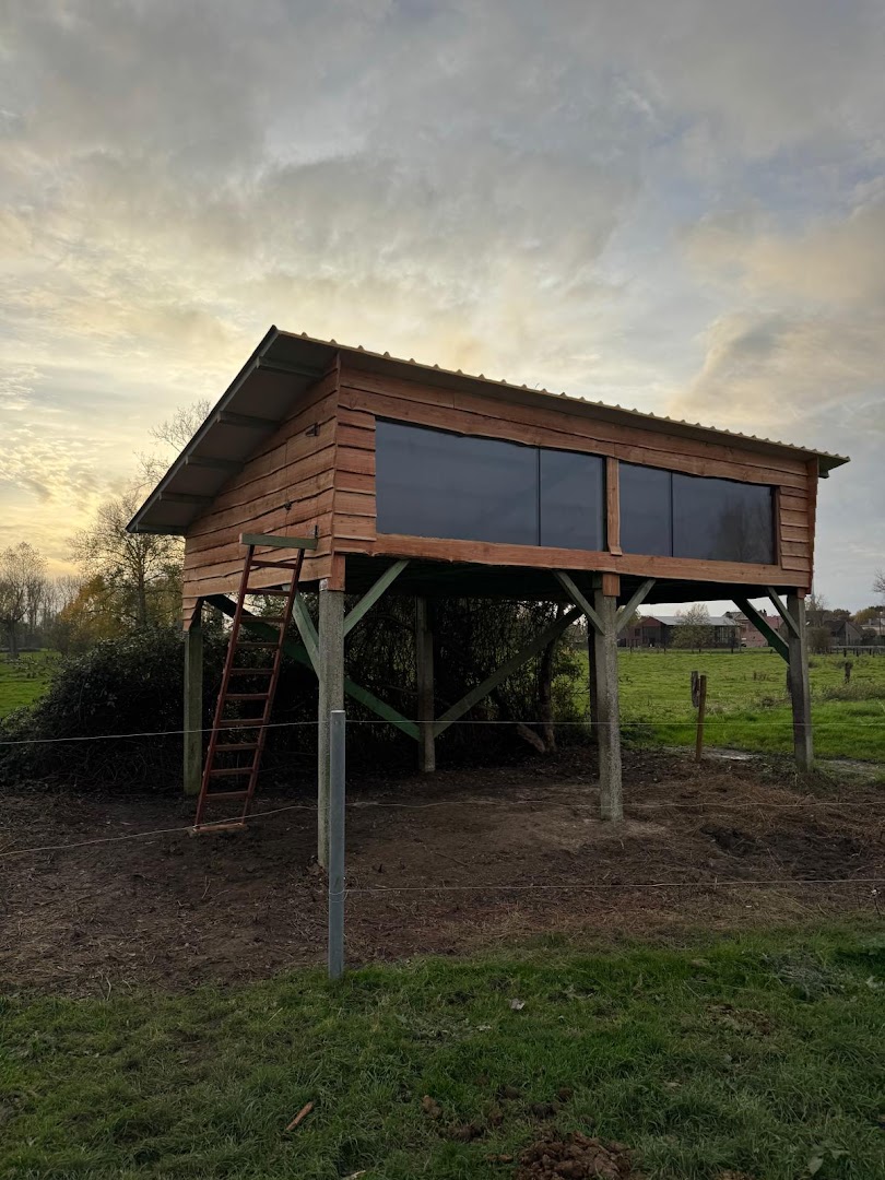 Foto van Corneliu Bujorean in Sint-Genesius-Rode, Bouwbedrijf (foto 2)