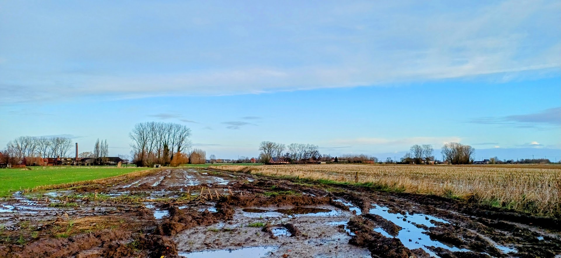 Foto van Willem / Koen in Lendelede, Bouwbedrijf (foto 2)