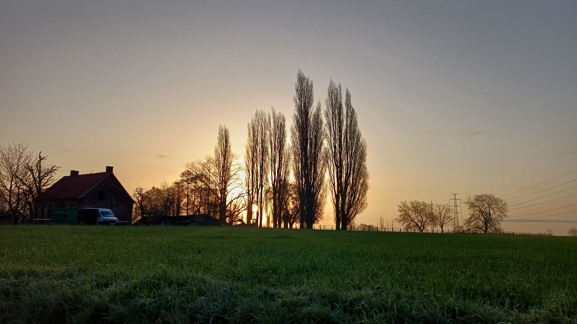 Foto van Schotte Dries in Lendelede, Timmerman (foto 2)