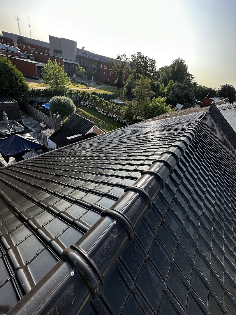 Foto van Paul Vermeersch BV in Zelzate, Dakdekker (foto 3)