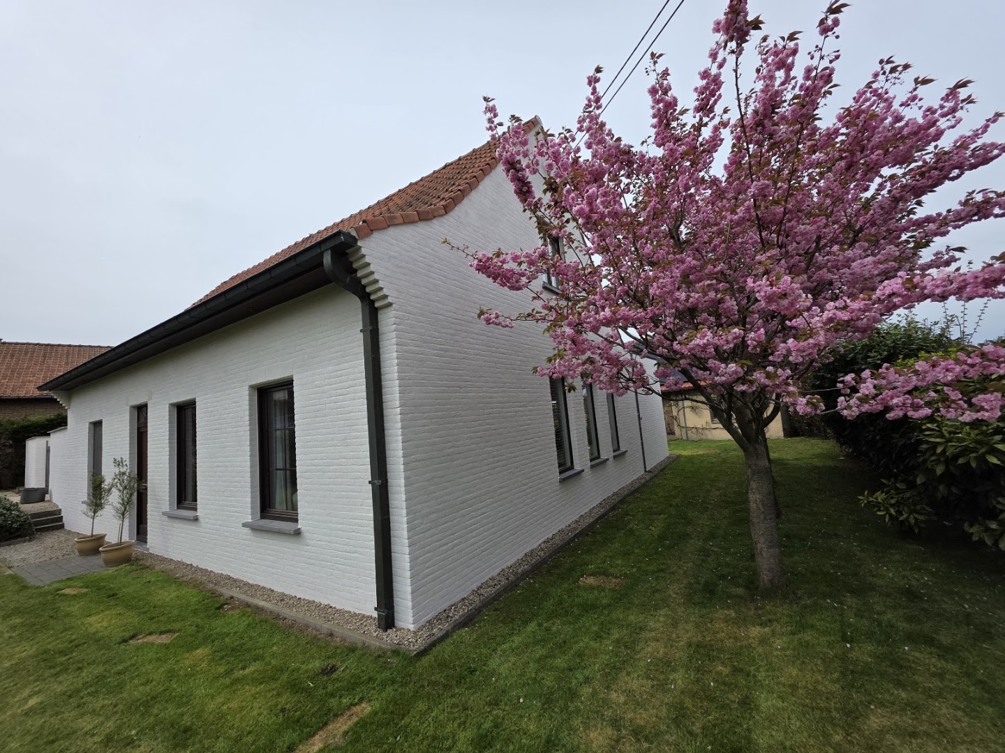 Foto van De Gevelmeester in Evergem, Aannemer (foto 3)