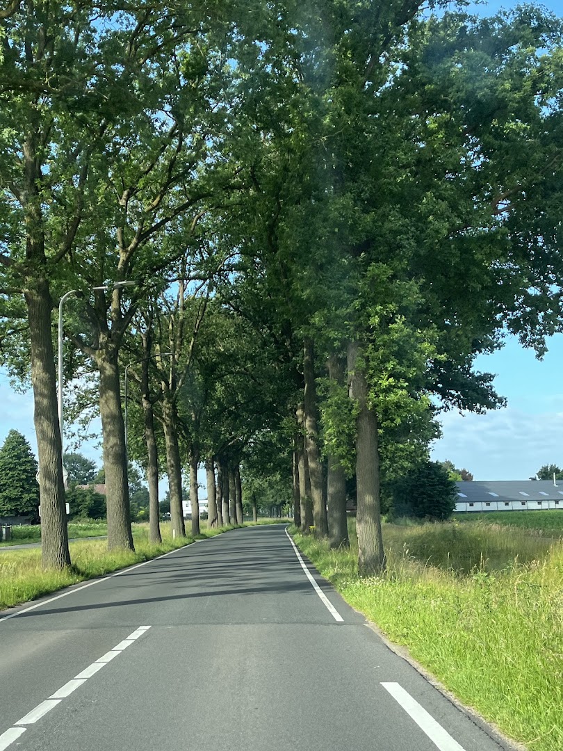 Foto van Bas Raeijmaekers Interieurbouw in Baarle-Nassau, Meubelmakerij (foto 2)