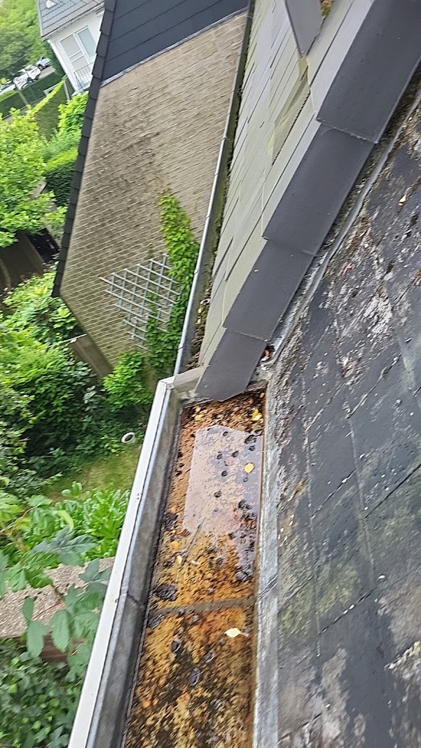 Foto van Renova Construct Bv in Wetteren, Dakdekker (foto 2)