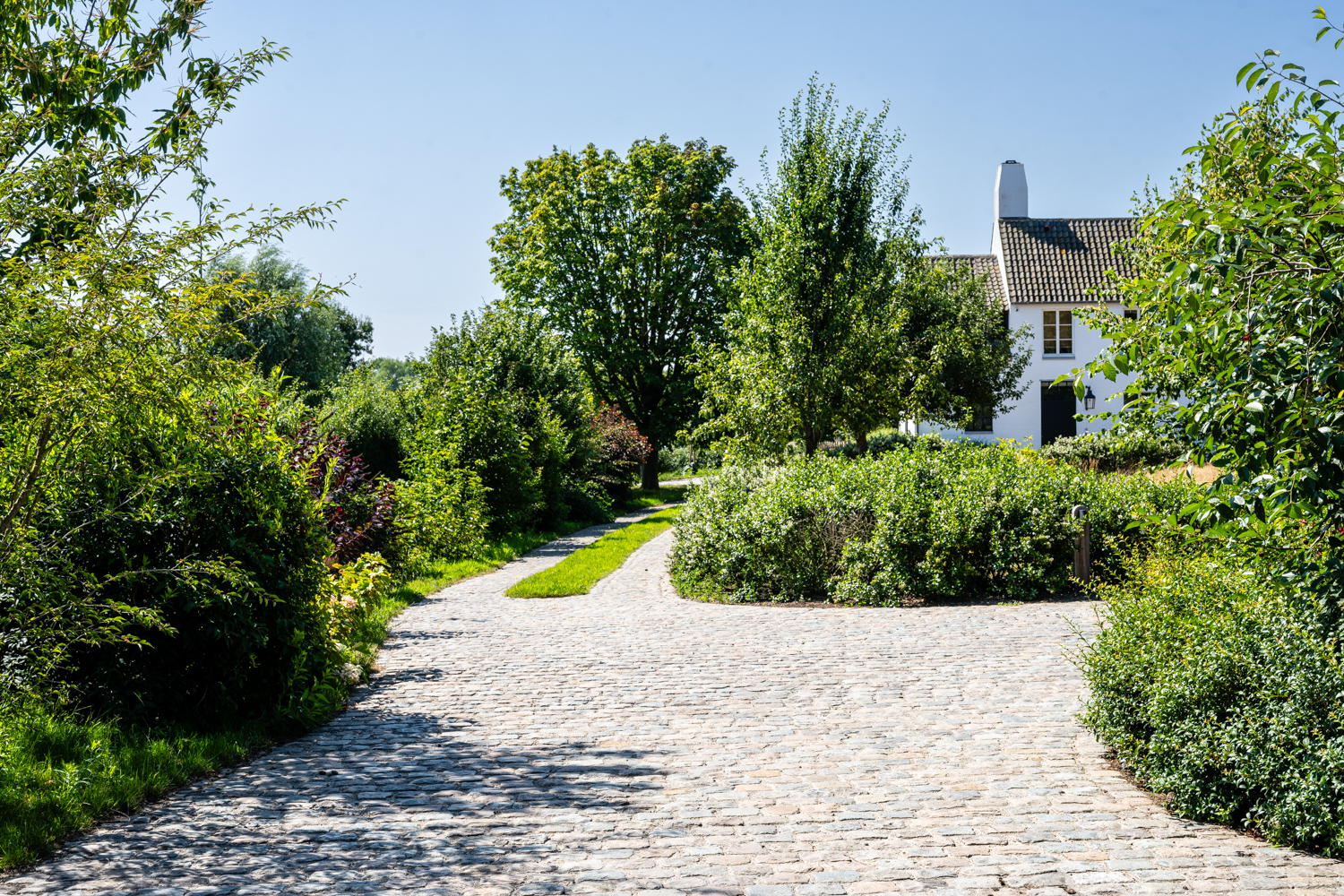 Foto van Van Holderbeke Dirk in Evergem, Aannemer