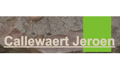 Foto van Callewaert / Jeroen in Waregem, Aannemer