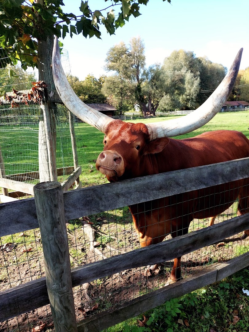 Foto van Smits bvba in Ranst, Bouwbedrijf