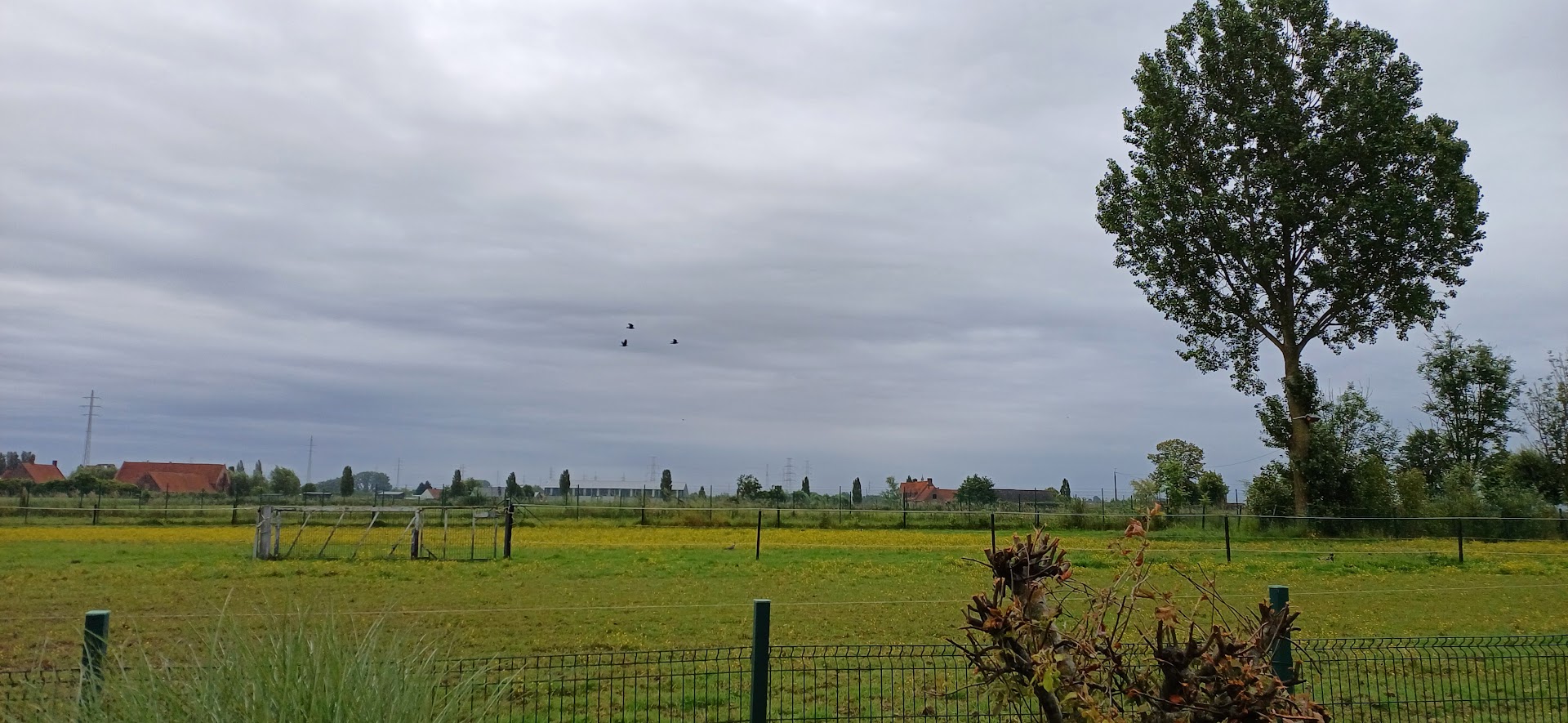 Foto van Ak Worxx in Izegem, Bouwbedrijf (foto 2)
