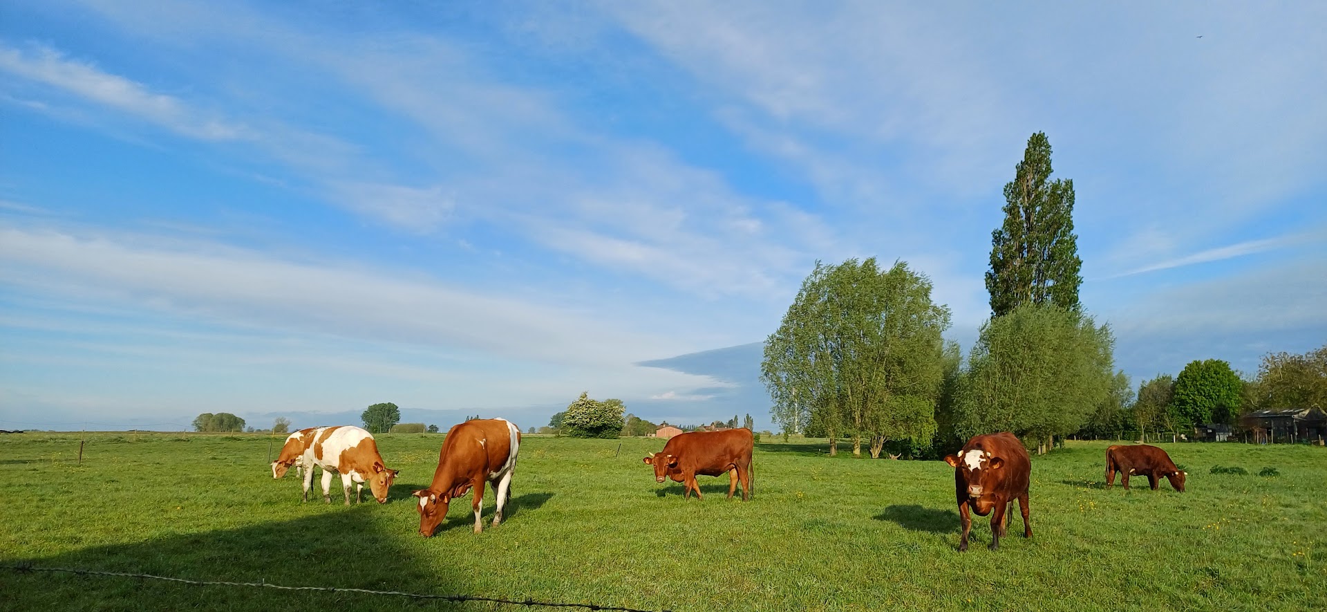 Foto van Ak Worxx in Izegem, Bouwbedrijf (foto 3)