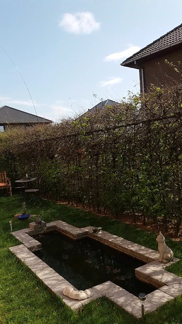 Foto van TRUST-BOUWWERKEN in Beveren-Kruibeke-Zwijndrecht, Bouwer van huizen op maat (foto 2)